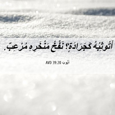 Picture 06 - أَيُّوبَ 39:20 AVD - أَتُوثِبُهُ كَجَرَادَةٍ؟ - Bible Verse Picture