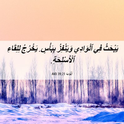 Picture 06 - أَيُّوبَ 39:21 AVD - يَبْحَثُ فِي ٱلْوَادِي - Bible Verse Picture