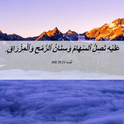 Picture 06 - أَيُّوبَ 39:23 AVD - عَلَيْهِ تَصِلُّ - Bible Verse Picture