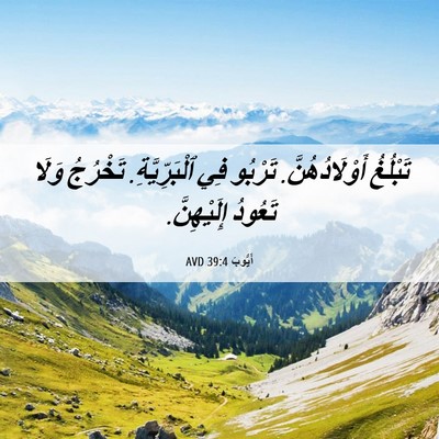 Picture 06 - أَيُّوبَ 39:4 AVD - تَبْلُغُ أَوْلَادُهُنَّ. - Bible Verse Picture