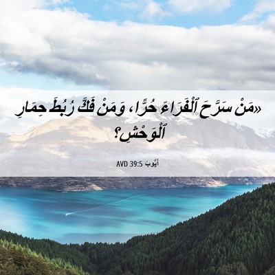 Picture 06 - أَيُّوبَ 39:5 AVD - «مَنْ سَرَّحَ ٱلْفَرَاءَ - Bible Verse Picture