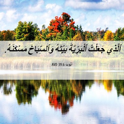 Picture 06 - أَيُّوبَ 39:6 AVD - ٱلَّذِي جَعَلْتُ - Bible Verse Picture