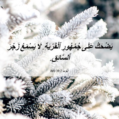 Picture 06 - أَيُّوبَ 39:7 AVD - يَضْحَكُ عَلَى جُمْهُورِ - Bible Verse Picture
