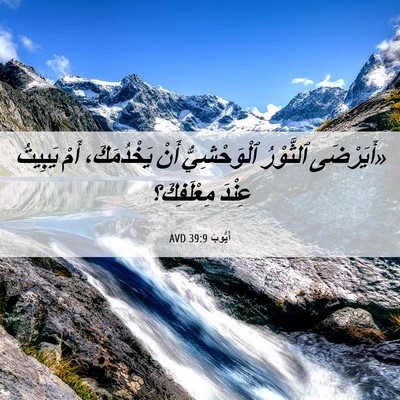 Picture 06 - أَيُّوبَ 39:9 AVD - «أَيَرْضَى ٱلثَّوْرُ - Bible Verse Picture