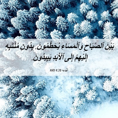 Picture 06 - أَيُّوبَ 4:20 AVD - بَيْنَ ٱلصَّبَاحِ - Bible Verse Picture