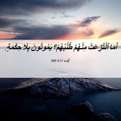 Picture 06 - أَيُّوبَ 4:21 AVD - أَمَا ٱنْتُزِعَتْ - Bible Verse Picture