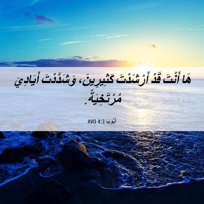 Picture 06 - أَيُّوبَ 4:3 AVD - هَا أَنْتَ قَدْ أَرْشَدْتَ - Bible Verse Picture