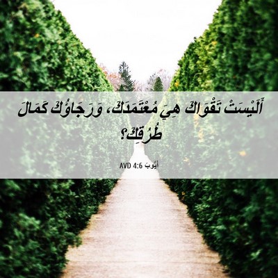 Picture 06 - أَيُّوبَ 4:6 AVD - أَلَيْسَتْ تَقْوَاكَ هِيَ - Bible Verse Picture