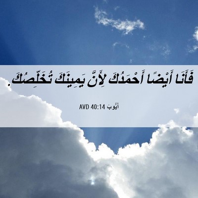 Picture 06 - أَيُّوبَ 40:14 AVD - فَأَنَا أَيْضًا - Bible Verse Picture