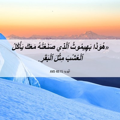 Picture 06 - أَيُّوبَ 40:15 AVD - «هُوَذَا بَهِيمُوثُ - Bible Verse Picture
