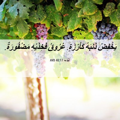 Picture 06 - أَيُّوبَ 40:17 AVD - يَخْفِضُ ذَنَبَهُ - Bible Verse Picture