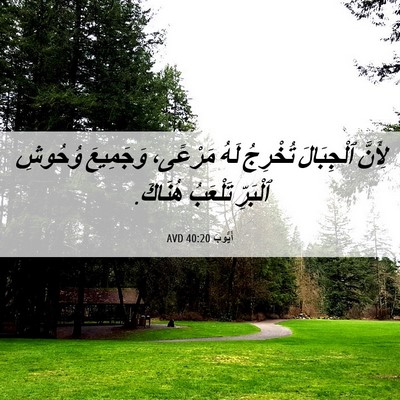 Picture 06 - أَيُّوبَ 40:20 AVD - لِأَنَّ ٱلْجِبَالَ - Bible Verse Picture