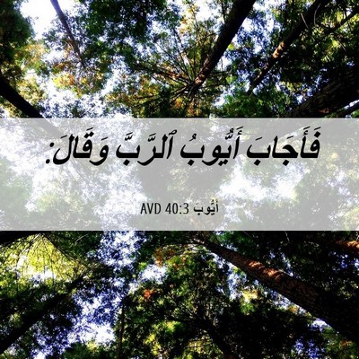Picture 06 - أَيُّوبَ 40:3 AVD - فَأَجَابَ أَيُّوبُ - Bible Verse Picture