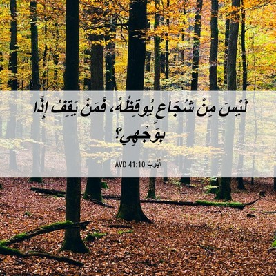 Picture 06 - أَيُّوبَ 41:10 AVD - لَيْسَ مِنْ شُجَاعٍ - Bible Verse Picture