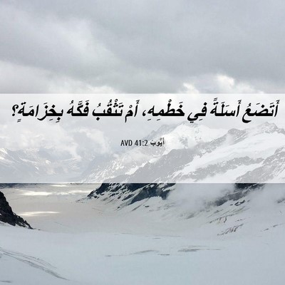 Picture 06 - أَيُّوبَ 41:2 AVD - أَتَضَعُ أَسَلَةً فِي - Bible Verse Picture