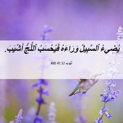 Picture 06 - أَيُّوبَ 41:32 AVD - يُضِيءُ ٱلسَّبِيلُ - Bible Verse Picture
