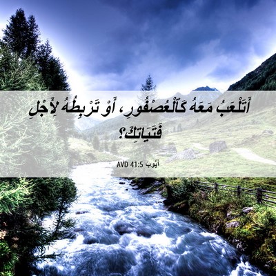 Picture 06 - أَيُّوبَ 41:5 AVD - أَتَلْعَبُ مَعَهُ - Bible Verse Picture