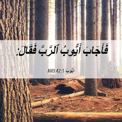 Picture 06 - أَيُّوبَ 42:1 AVD - فَأَجَابَ أَيُّوبُ - Bible Verse Picture
