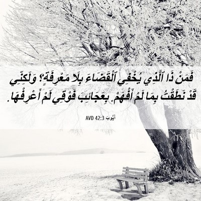 Picture 06 - أَيُّوبَ 42:3 AVD - فَمَنْ ذَا ٱلَّذِي يُخْفِي - Bible Verse Picture
