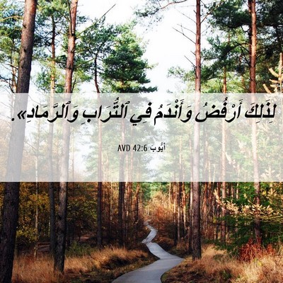 Picture 06 - أَيُّوبَ 42:6 AVD - لِذَلِكَ أَرْفُضُ - Bible Verse Picture