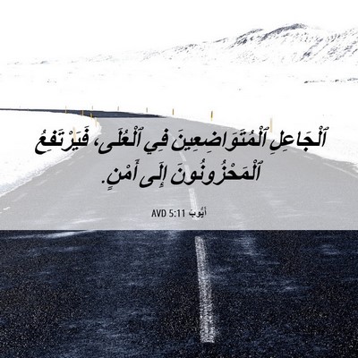 Picture 06 - أَيُّوبَ 5:11 AVD - ٱلْجَاعِلِ - Bible Verse Picture