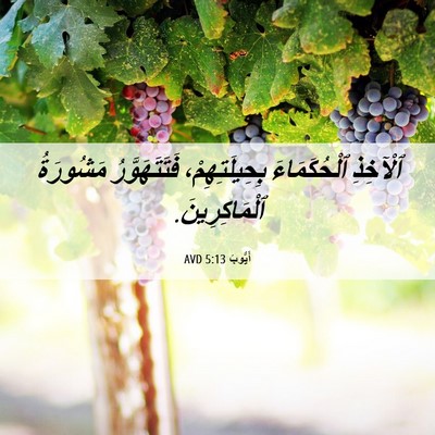 Picture 06 - أَيُّوبَ 5:13 AVD - ٱلْآخِذِ ٱلْحُكَمَاءَ - Bible Verse Picture
