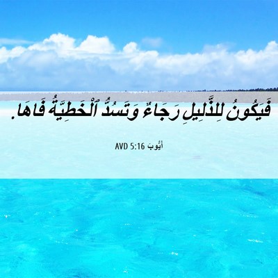Picture 06 - أَيُّوبَ 5:16 AVD - فَيَكُونُ لِلذَّلِيلِ - Bible Verse Picture