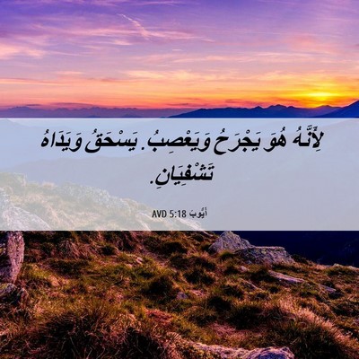 Picture 06 - أَيُّوبَ 5:18 AVD - لِأَنَّهُ هُوَ يَجْرَحُ - Bible Verse Picture