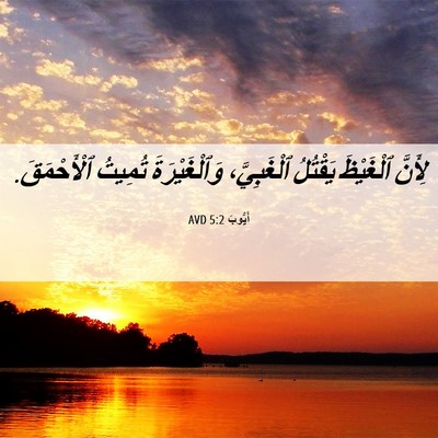Picture 06 - أَيُّوبَ 5:2 AVD - لِأَنَّ ٱلْغَيْظَ - Bible Verse Picture