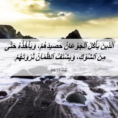Picture 06 - أَيُّوبَ 5:5 AVD - ٱلَّذِينَ يَأْكُلُ - Bible Verse Picture