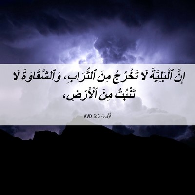 Picture 06 - أَيُّوبَ 5:6 AVD - إِنَّ ٱلْبَلِيَّةَ لَا - Bible Verse Picture