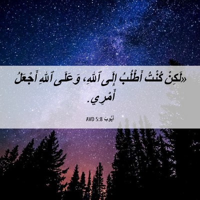 Picture 06 - أَيُّوبَ 5:8 AVD - «لَكِنْ كُنْتُ أَطْلُبُ - Bible Verse Picture