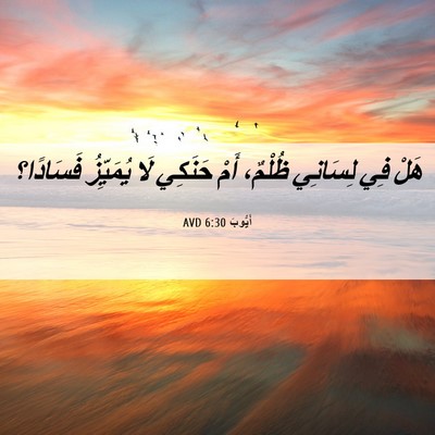 Picture 06 - أَيُّوبَ 6:30 AVD - هَلْ فِي لِسَانِي ظُلْمٌ، - Bible Verse Picture
