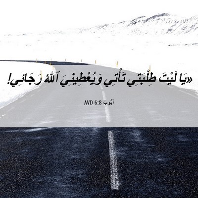 Picture 06 - أَيُّوبَ 6:8 AVD - «يَا لَيْتَ طِلْبَتِي - Bible Verse Picture