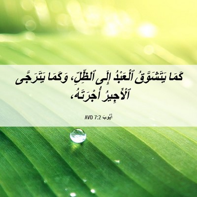 Picture 06 - أَيُّوبَ 7:2 AVD - كَمَا يَتَشَوَّقُ - Bible Verse Picture