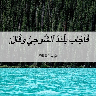 Picture 06 - أَيُّوبَ 8:1 AVD - فَأَجَابَ بِلْدَدُ - Bible Verse Picture