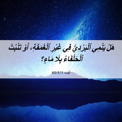 Picture 06 - أَيُّوبَ 8:11 AVD - هَلْ يَنْمِي ٱلْبَرْدِيُّ - Bible Verse Picture
