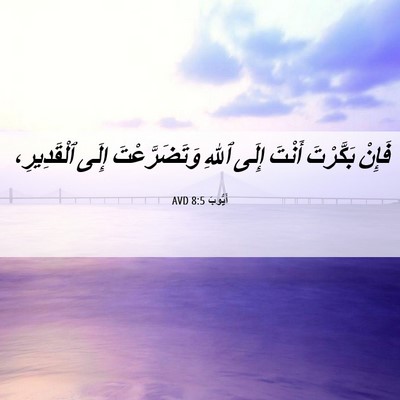 Picture 06 - أَيُّوبَ 8:5 AVD - فَإِنْ بَكَّرْتَ أَنْتَ - Bible Verse Picture