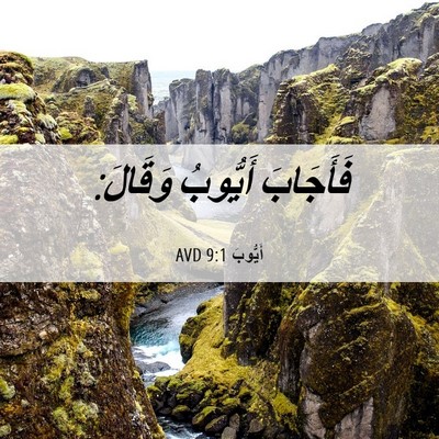 Picture 06 - أَيُّوبَ 9:1 AVD - فَأَجَابَ أَيُّوبُ - Bible Verse Picture
