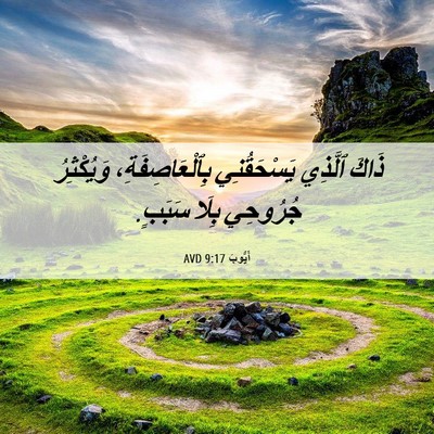 Picture 06 - أَيُّوبَ 9:17 AVD - ذَاكَ ٱلَّذِي يَسْحَقُنِي - Bible Verse Picture