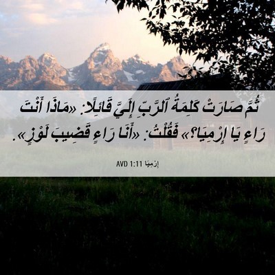 Picture 06 - إِرْمِيَا 1:11 AVD - ثُمَّ صَارَتْ كَلِمَةُ - Bible Verse Picture