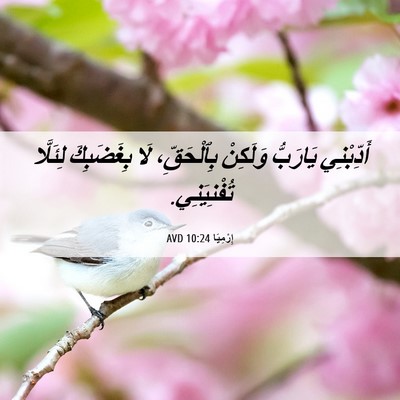 Picture 06 - إِرْمِيَا 10:24 AVD - أَدِّبْنِي يَارَبُّ - Bible Verse Picture