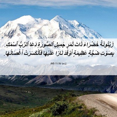 Picture 06 - إِرْمِيَا 11:16 AVD - زَيْتُونَةً خَضْرَاءَ - Bible Verse Picture