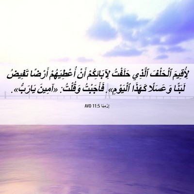 Picture 06 - إِرْمِيَا 11:5 AVD - لِأُقِيمَ ٱلْحَلْفَ - Bible Verse Picture