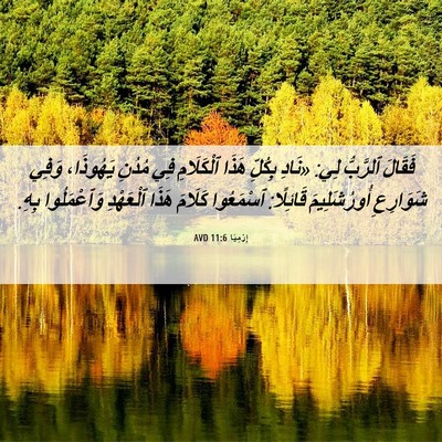 Picture 06 - إِرْمِيَا 11:6 AVD - فَقَالَ ٱلرَّبُّ لِي: - Bible Verse Picture