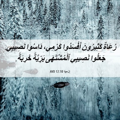 Picture 06 - إِرْمِيَا 12:10 AVD - رُعَاةٌ كَثِيرُونَ - Bible Verse Picture