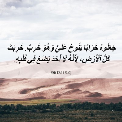 Picture 06 - إِرْمِيَا 12:11 AVD - جَعَلُوهُ خَرَابًا - Bible Verse Picture