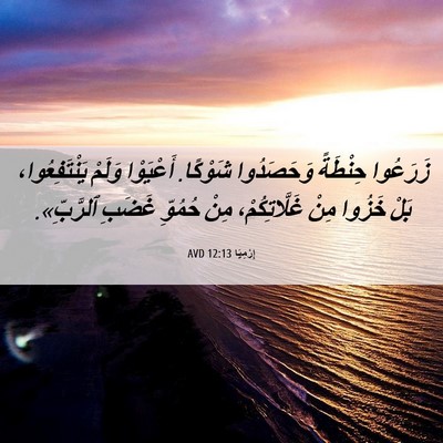 Picture 06 - إِرْمِيَا 12:13 AVD - زَرَعُوا حِنْطَةً - Bible Verse Picture