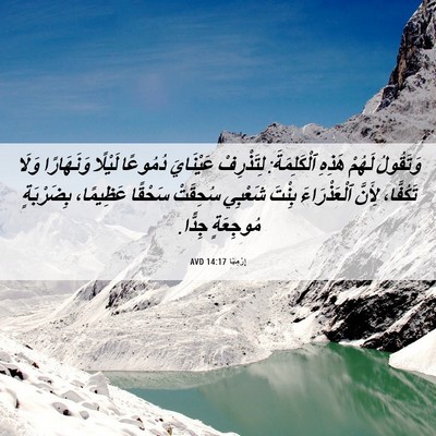Picture 06 - إِرْمِيَا 14:17 AVD - وَتَقُولُ لَهُمْ هَذِهِ - Bible Verse Picture