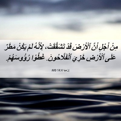 Picture 06 - إِرْمِيَا 14:4 AVD - مِنْ أَجْلِ أَنَّ - Bible Verse Picture